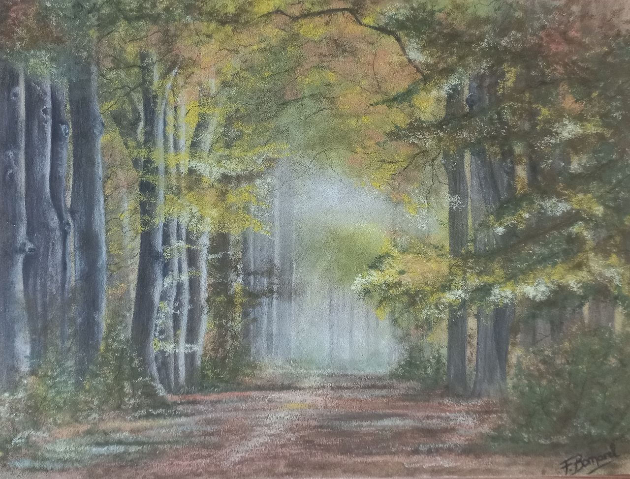 Paysage de forêt
