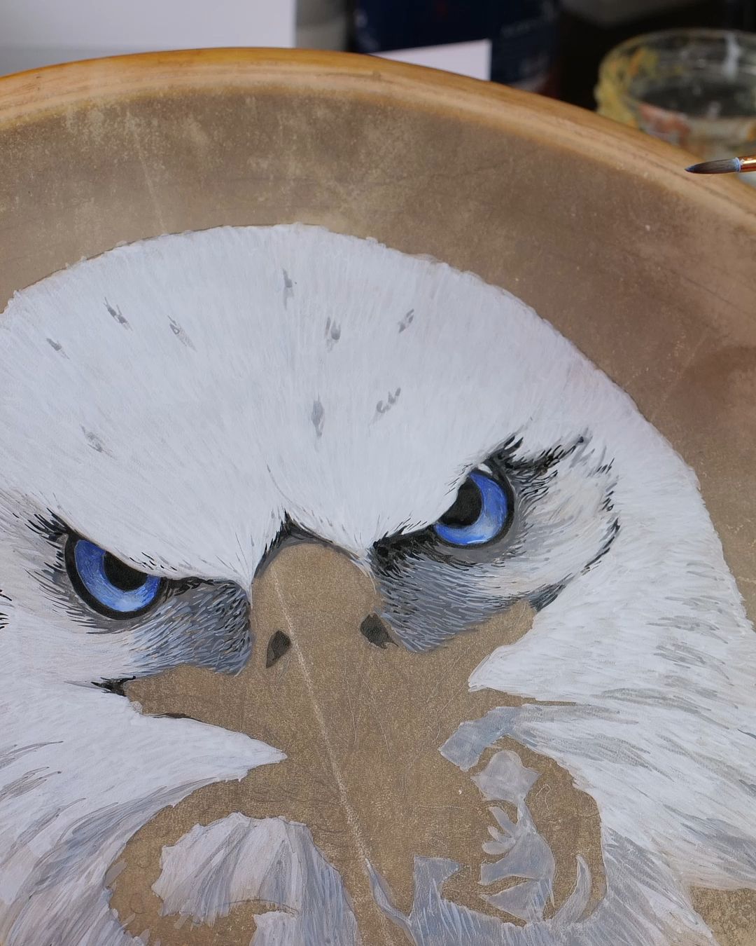 Tambours chamanique - Aigle