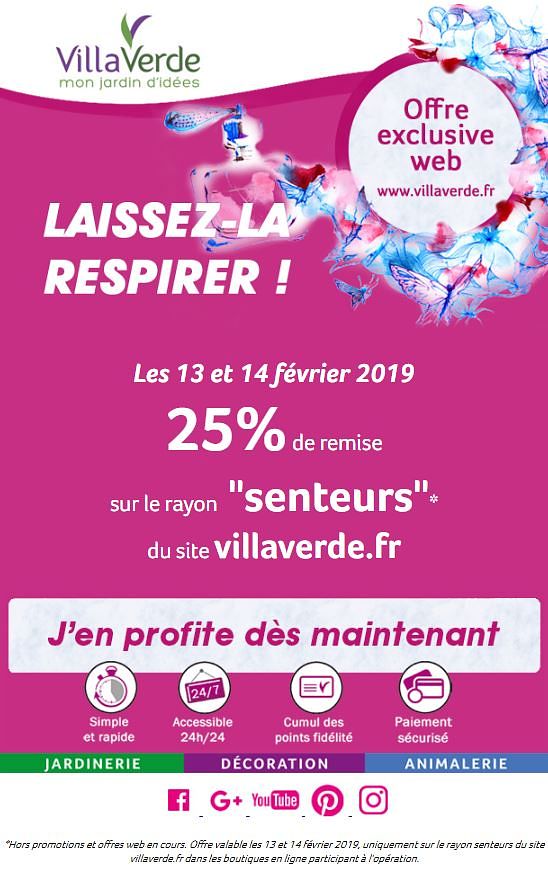 Emailing - Saint-Valentin VillaVerde