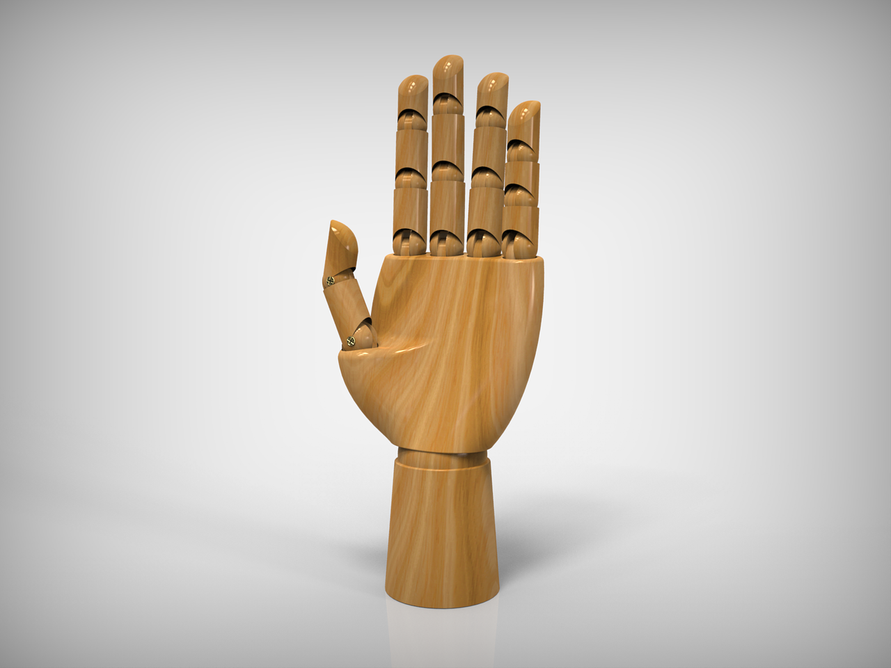 Hand / Main 3D