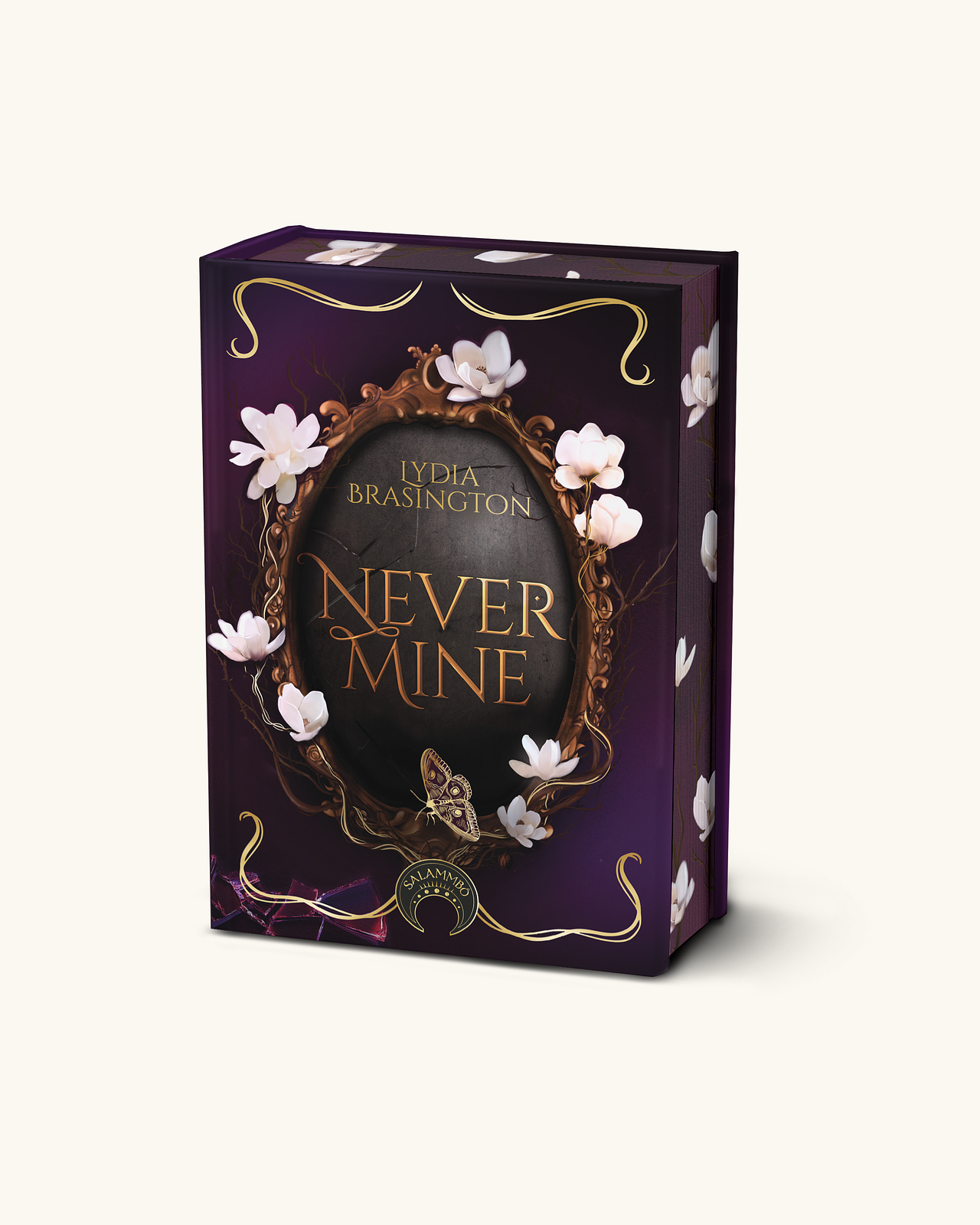 Couverture - Never Mine