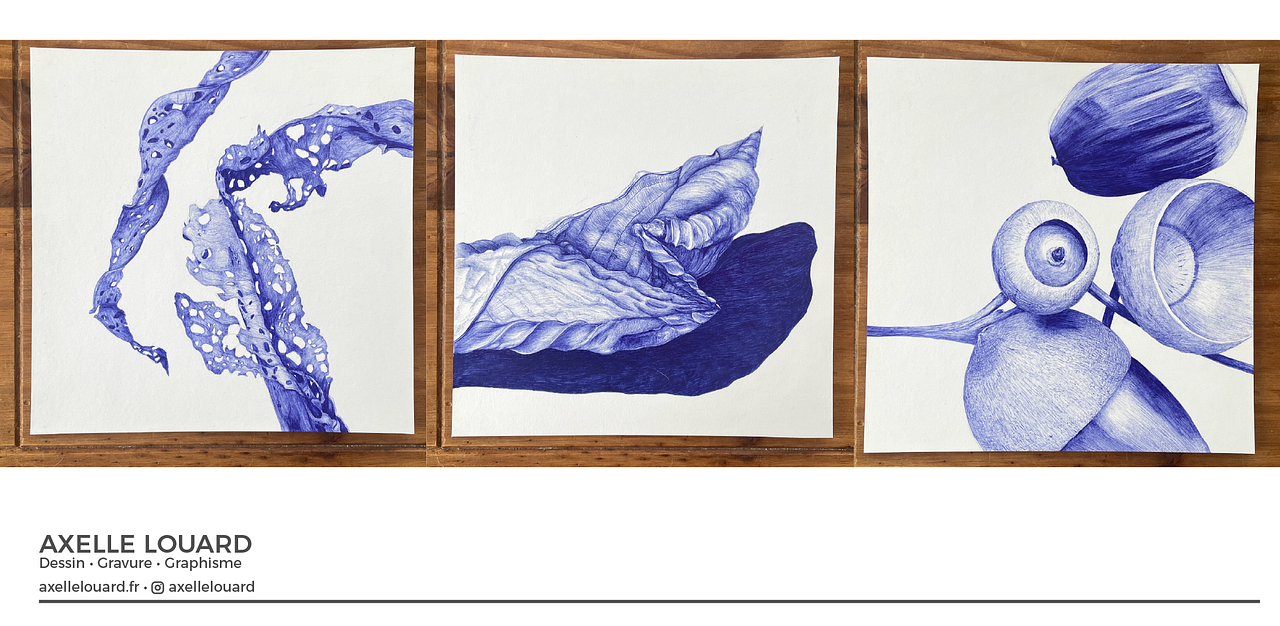 Dessin hyper réalistes au stylo bille