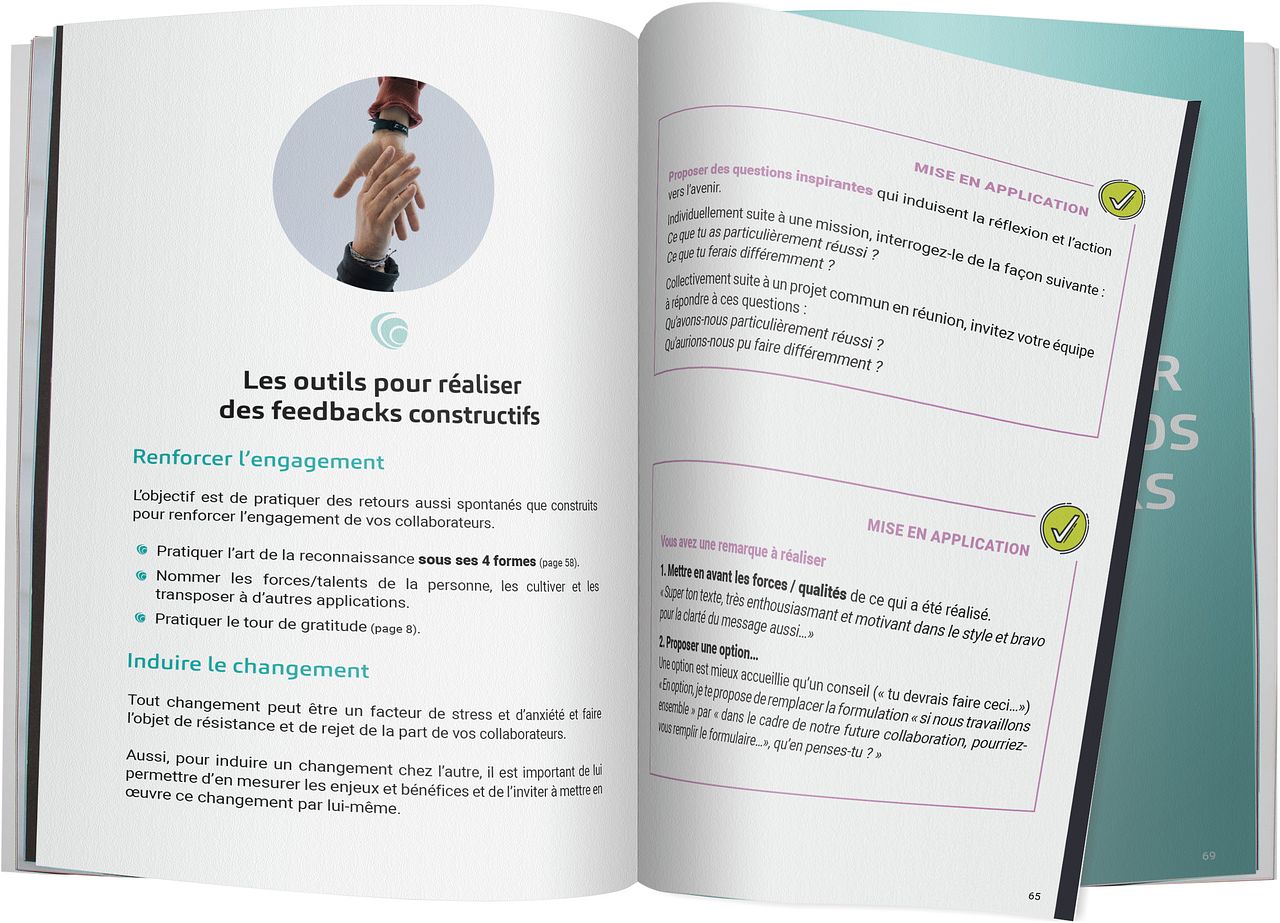 Livre d'entreprise Verisure France