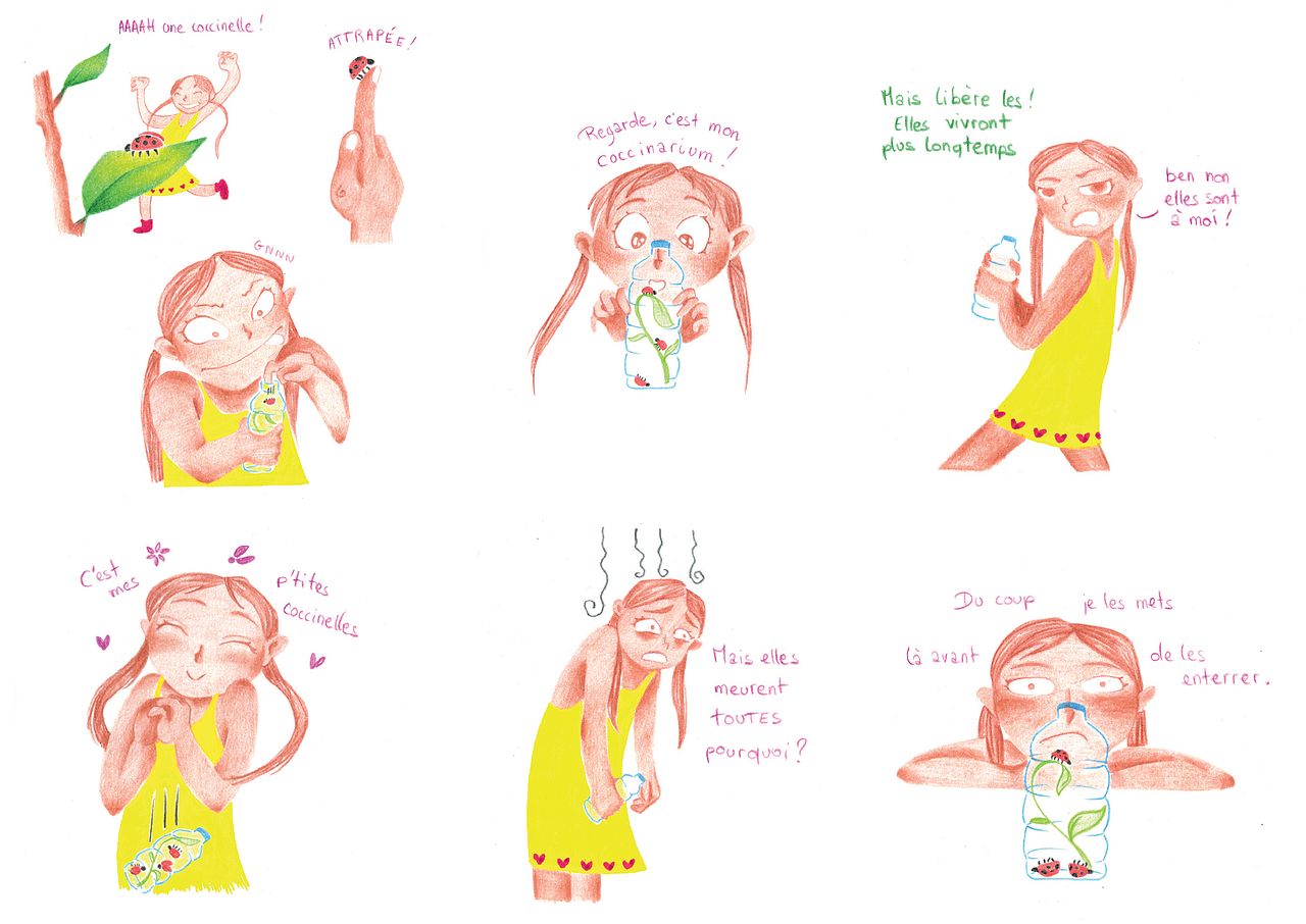 Illustrations jeunesse