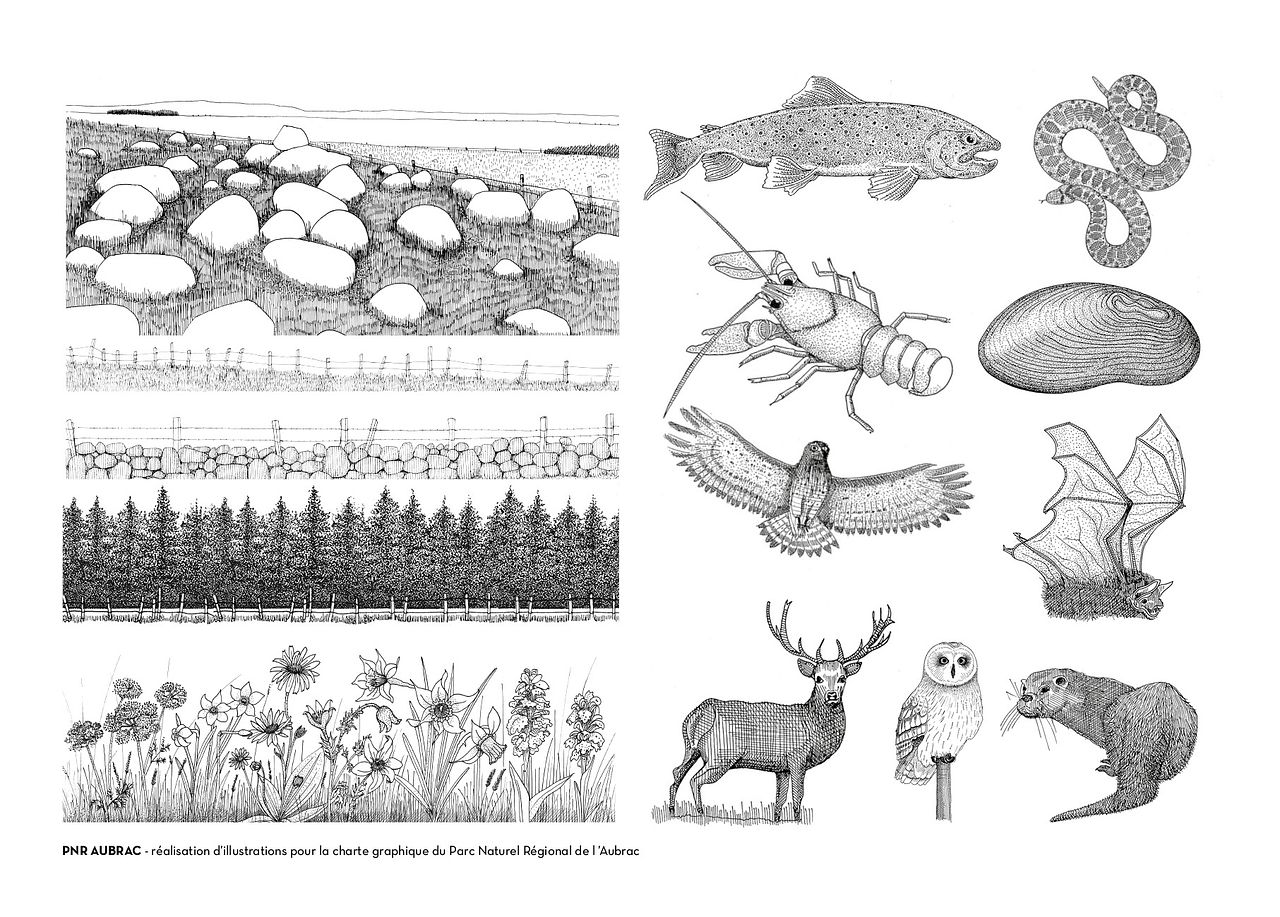 Illustrations charte graphique PNR