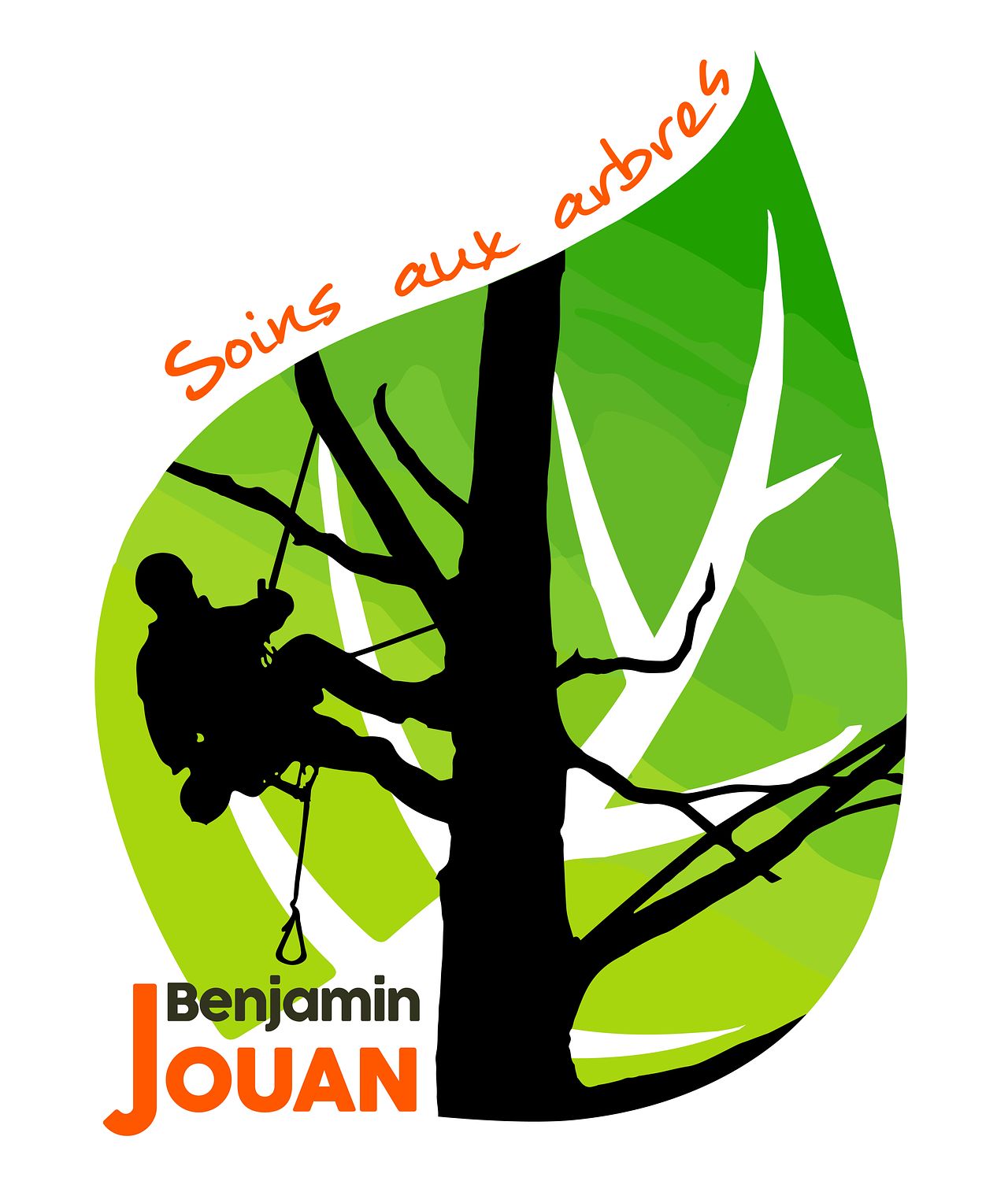 Logo Benjamin JOUAN - Soins aux arbres