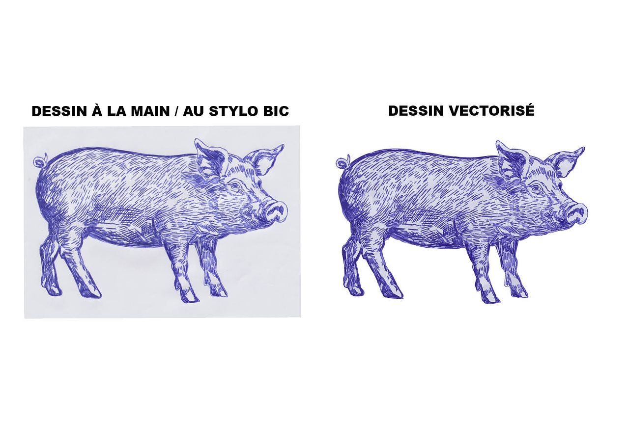 Dessin à la main puis vectorisé