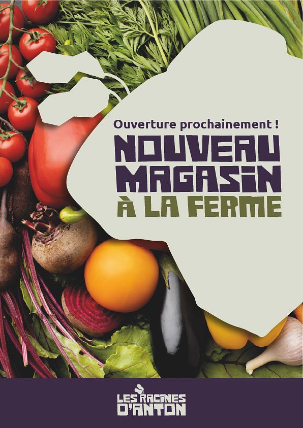 Affiche Les Racines d'Anton