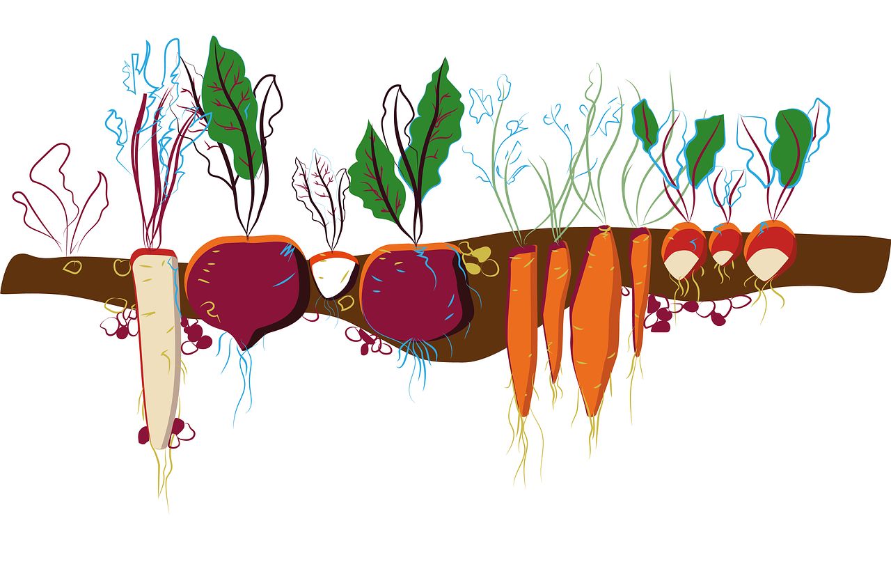 Cadeaux d’automne