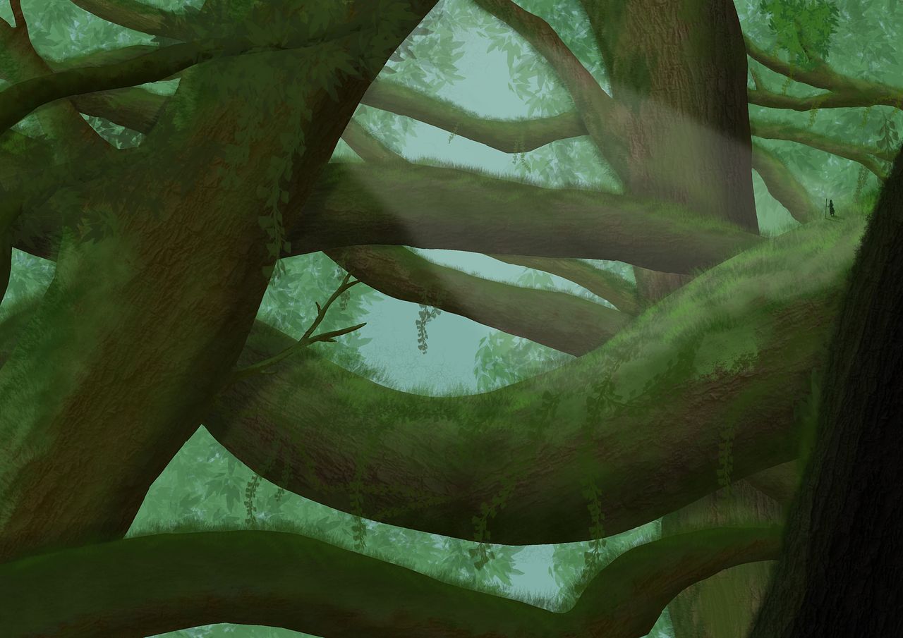 Illustration d'une forêt extrêmement dense