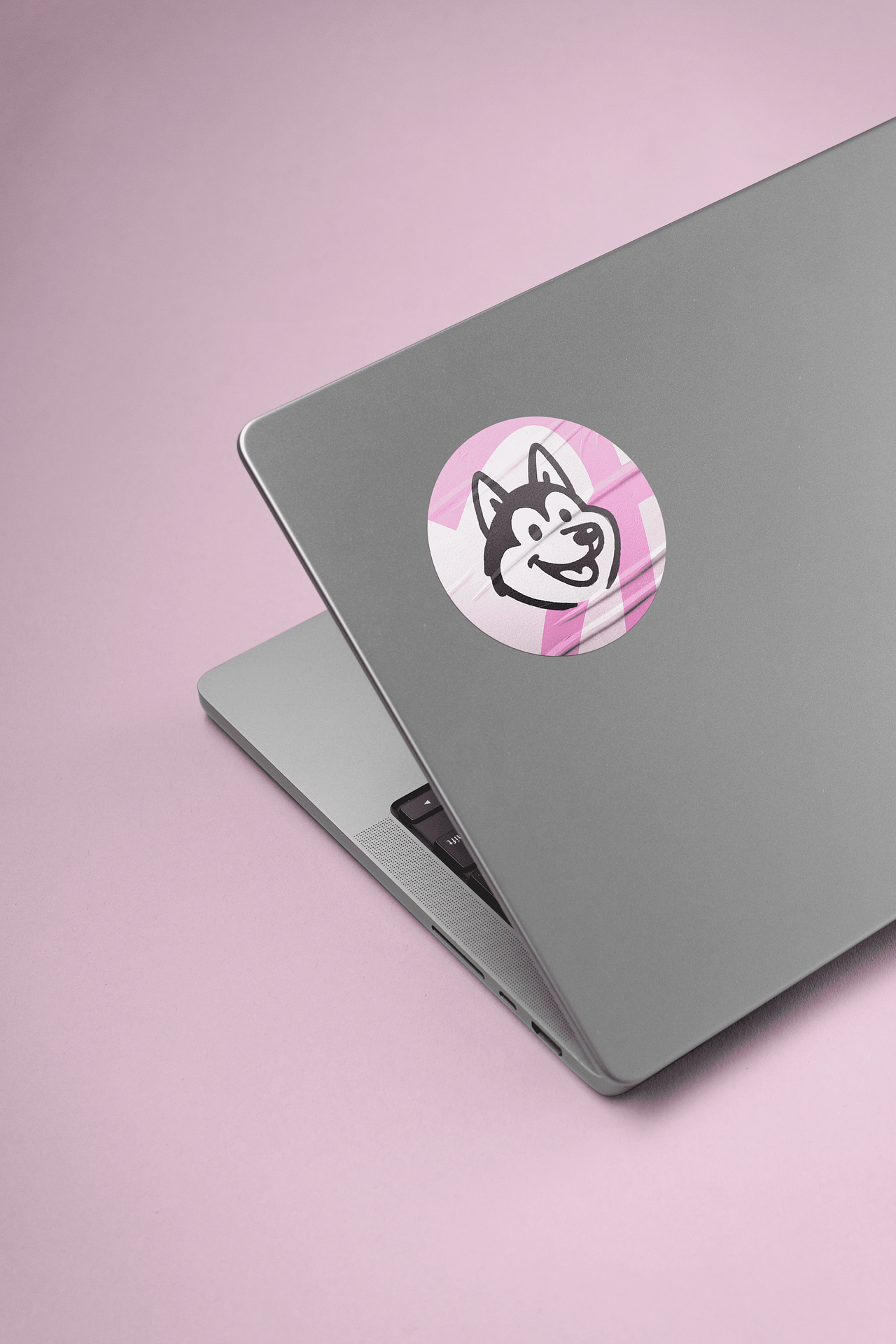 Sticker Illustration Boule2Neige