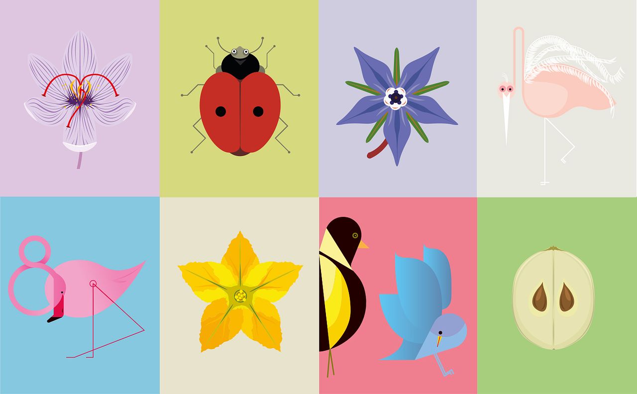 FLAT DESIGN ILLUSTRATION (Alimentarium de Vevey)