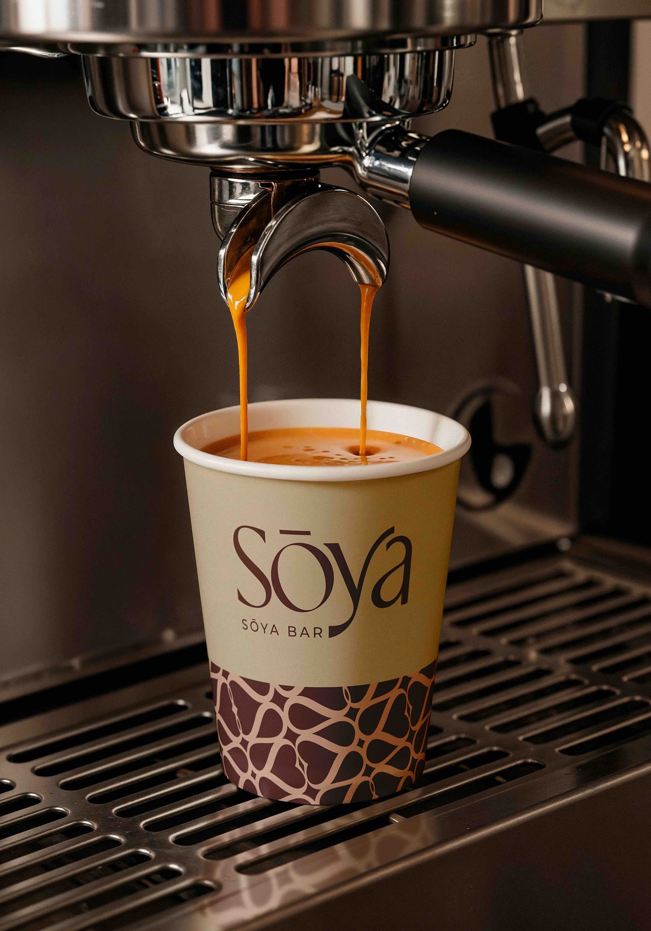 Branding Sōya