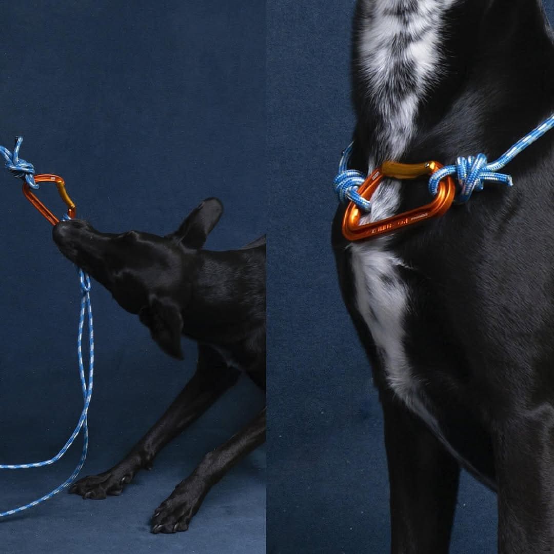 Petzl