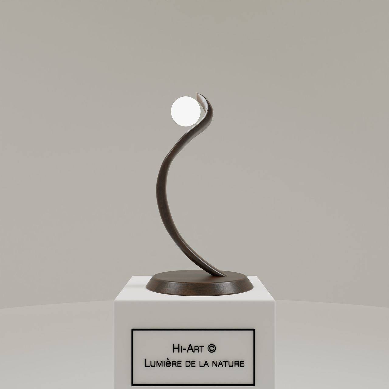 Lumière de la forêt