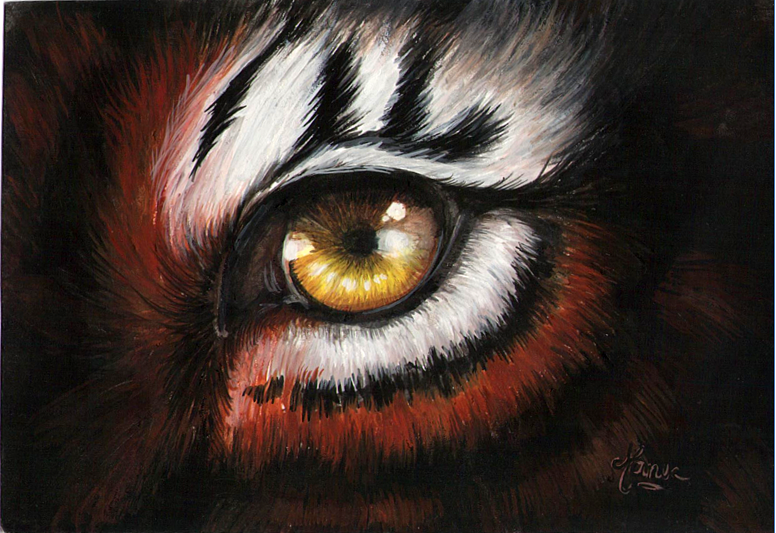 Illustration carte postale