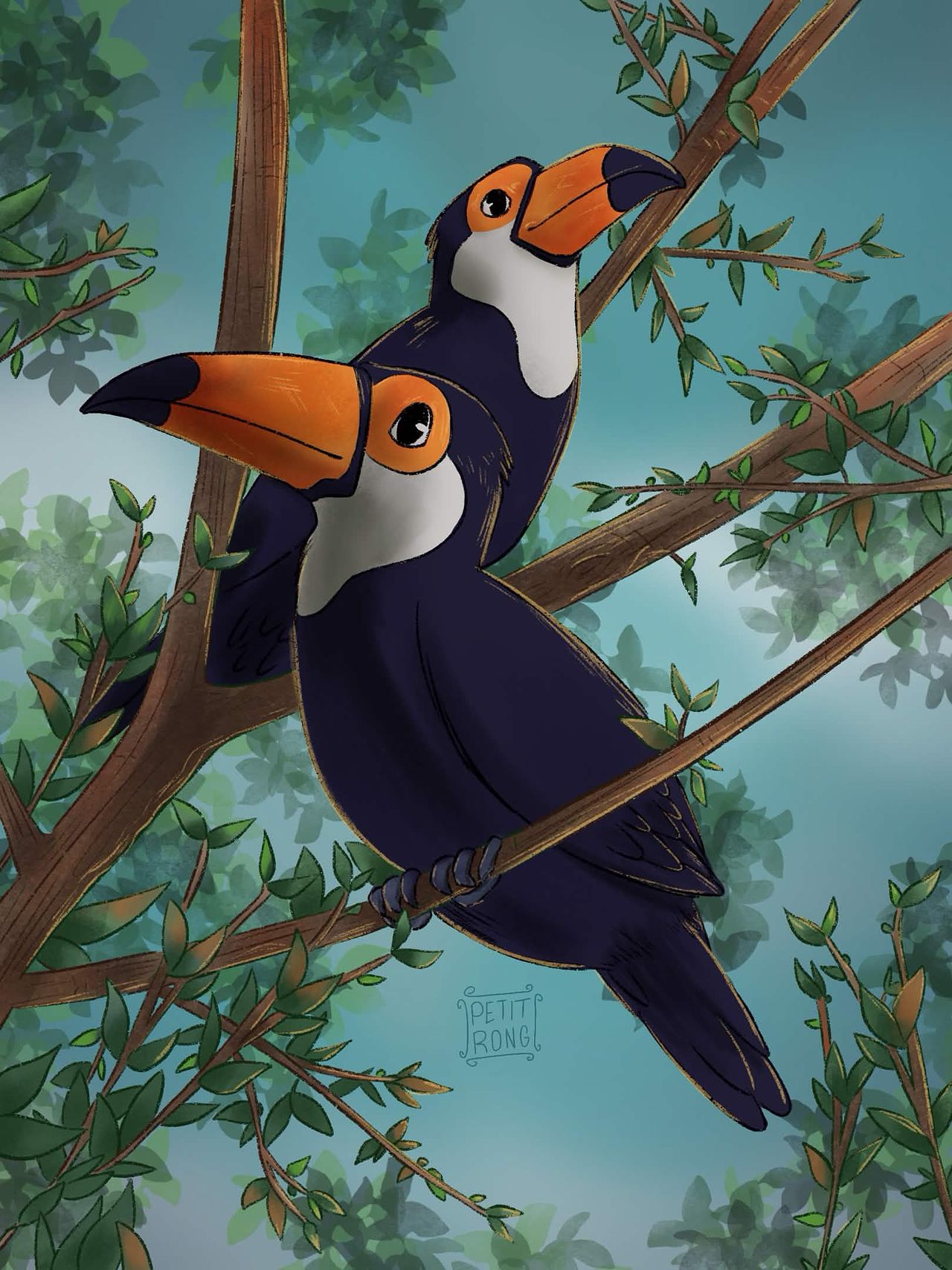 Toucan
