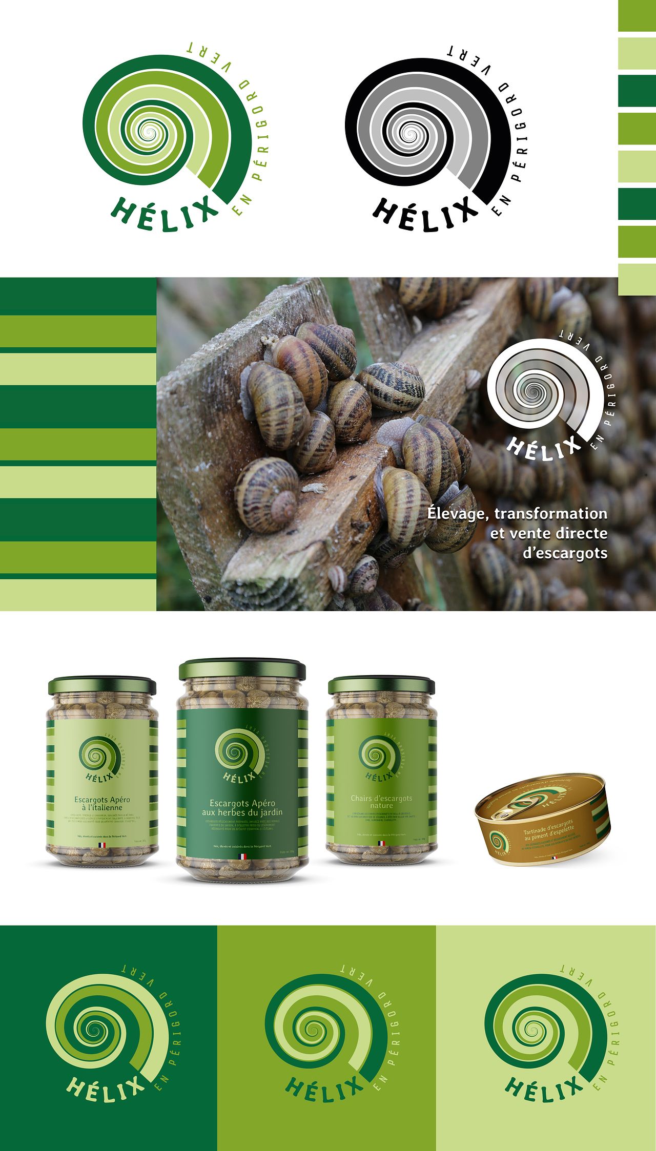 Logo et univers visuel