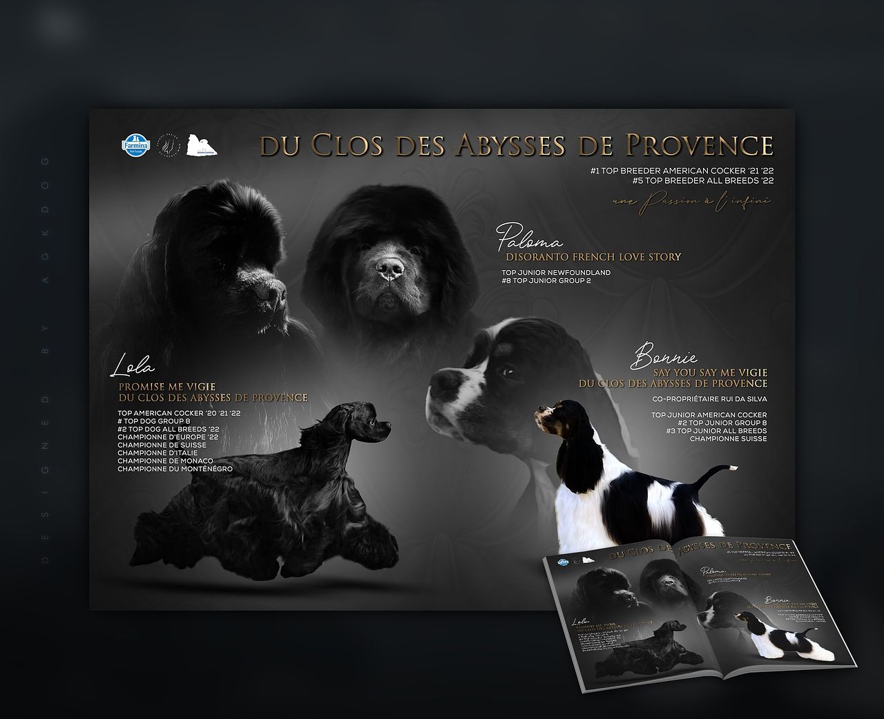 Design de magazine