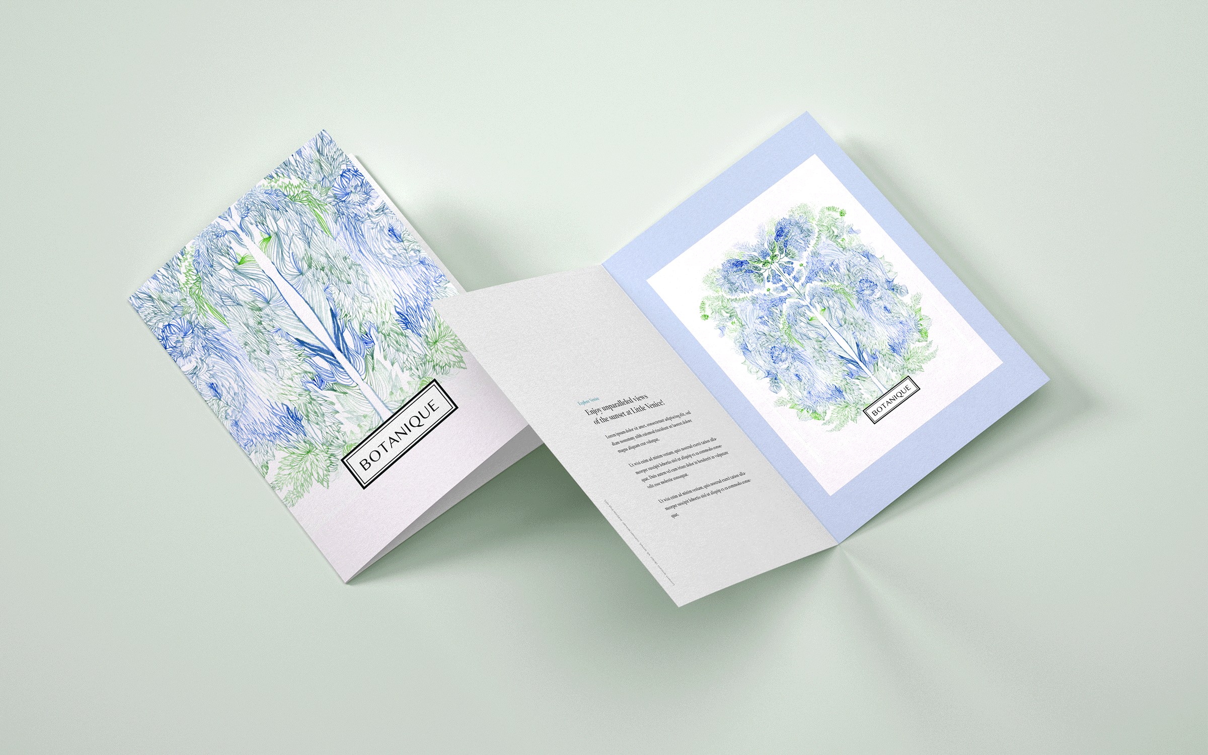 Carterie, mise en page, illustrations