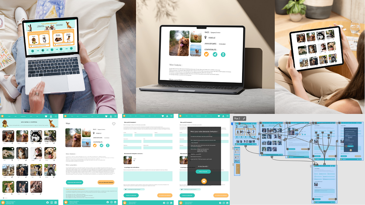 Design UX-UI site web