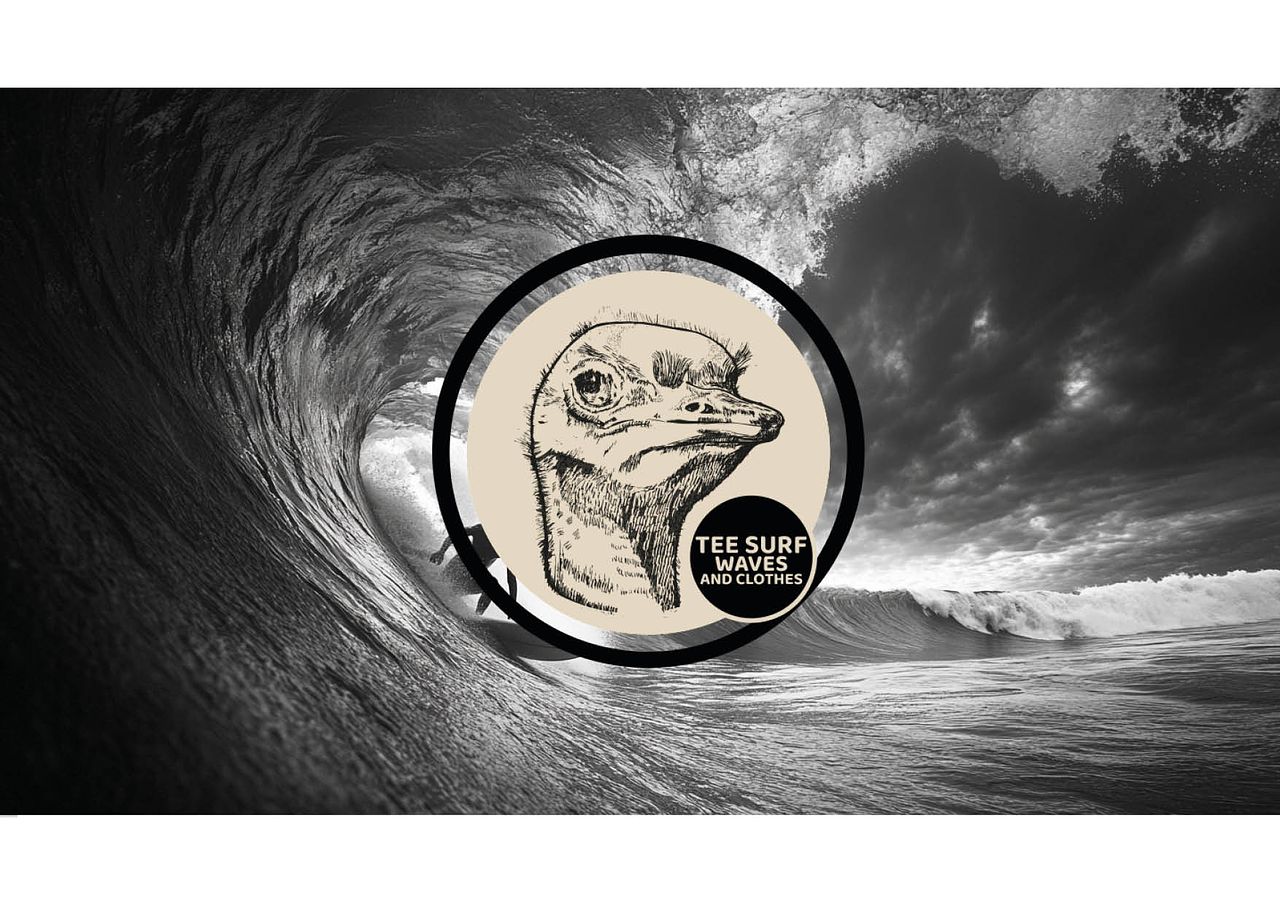 Création logo / Surf