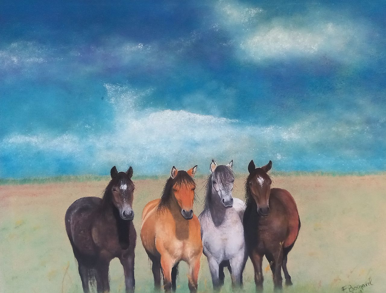 Les chevaux