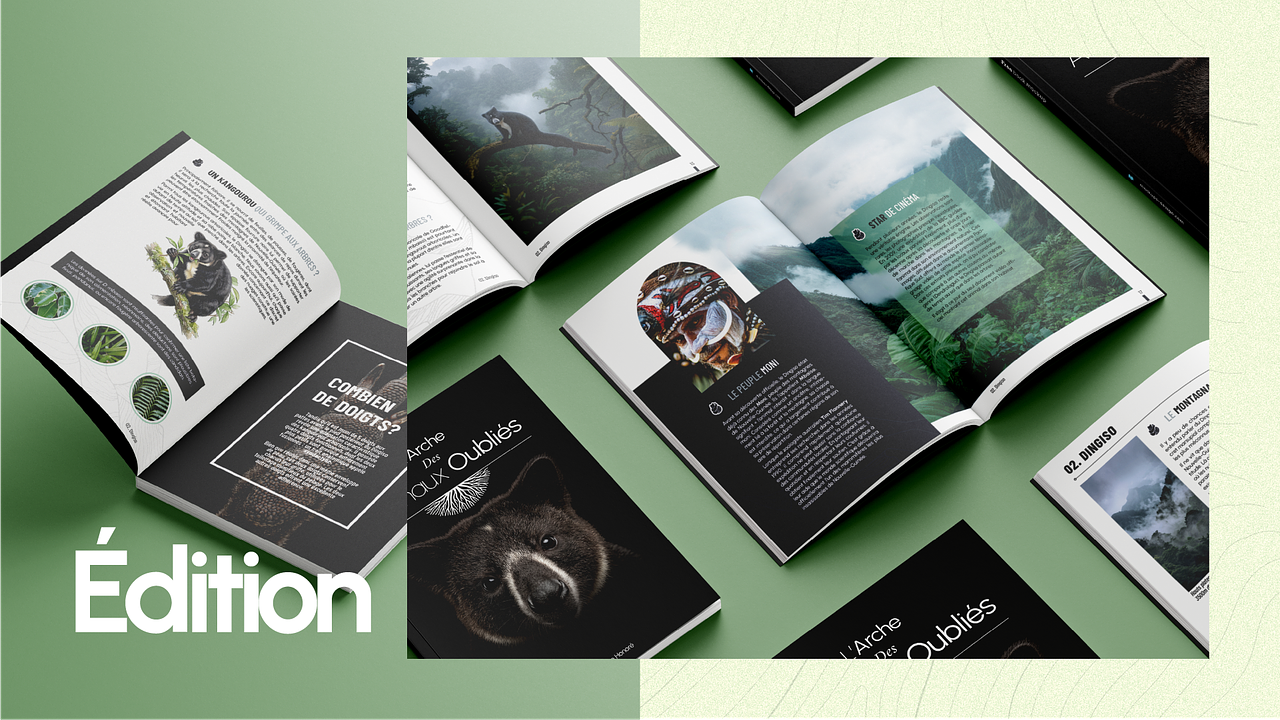 ARKA - EDITION