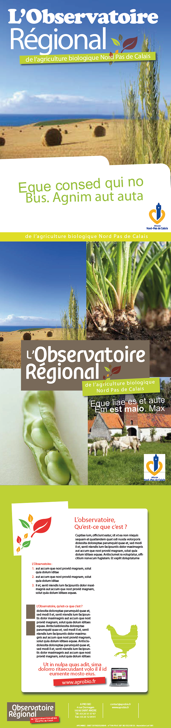 Mise en page