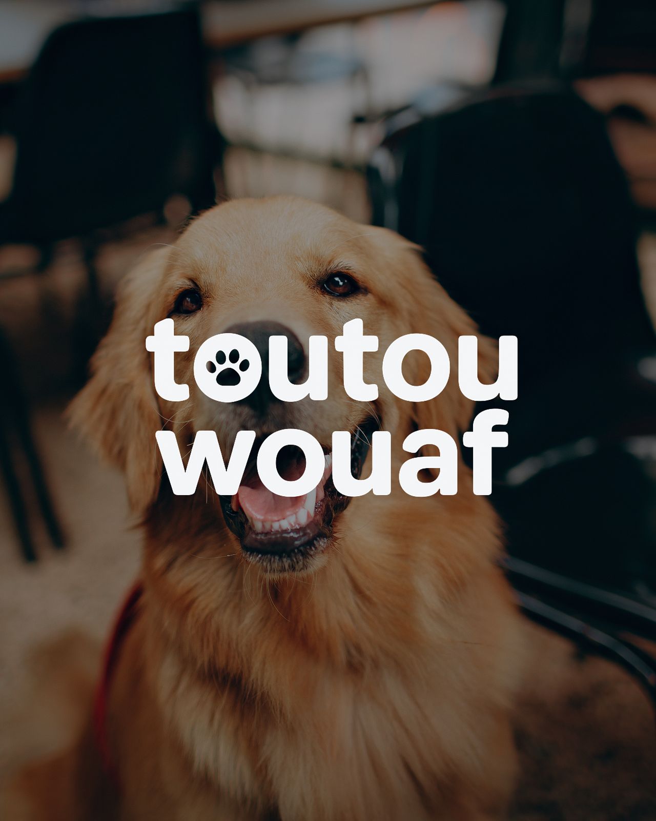 Toutou wouaf