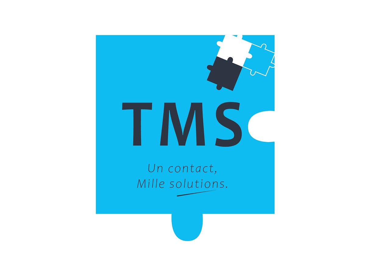Projet de logo - entreprise multiservices