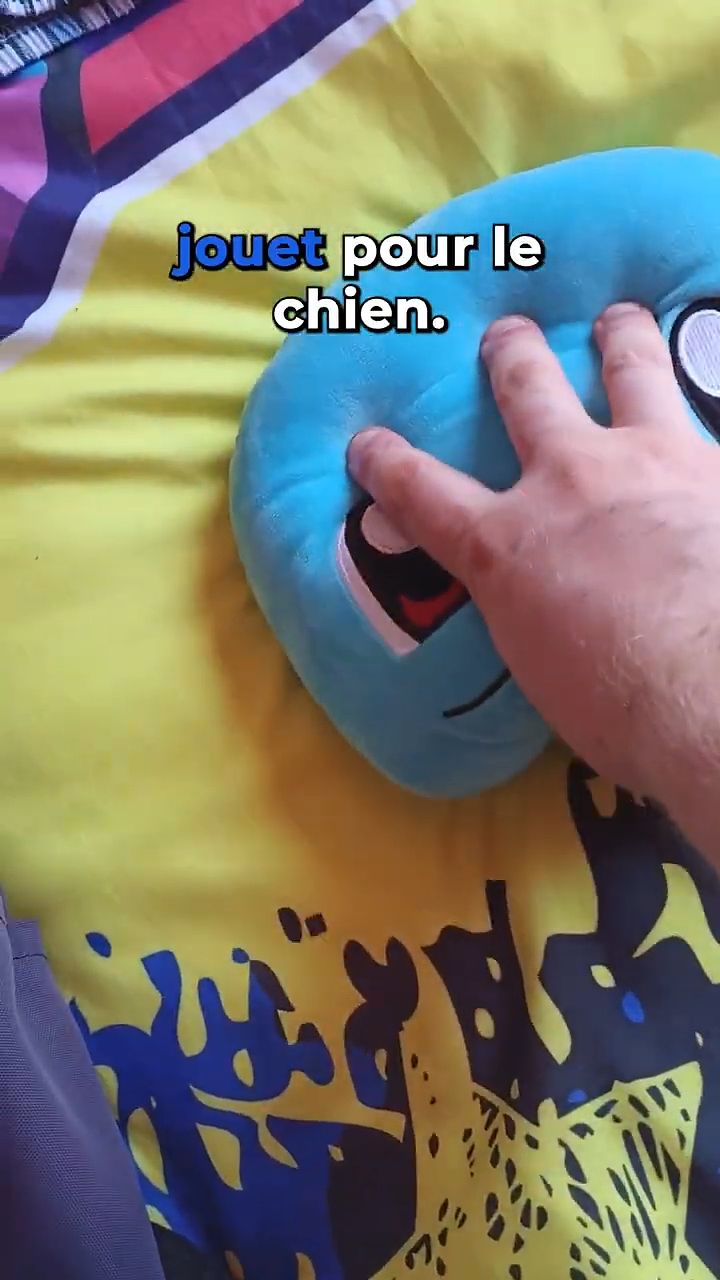 Vidéo humouristique