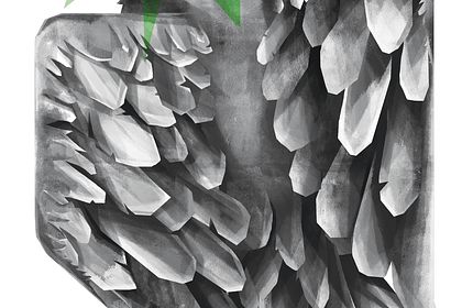 Illustration