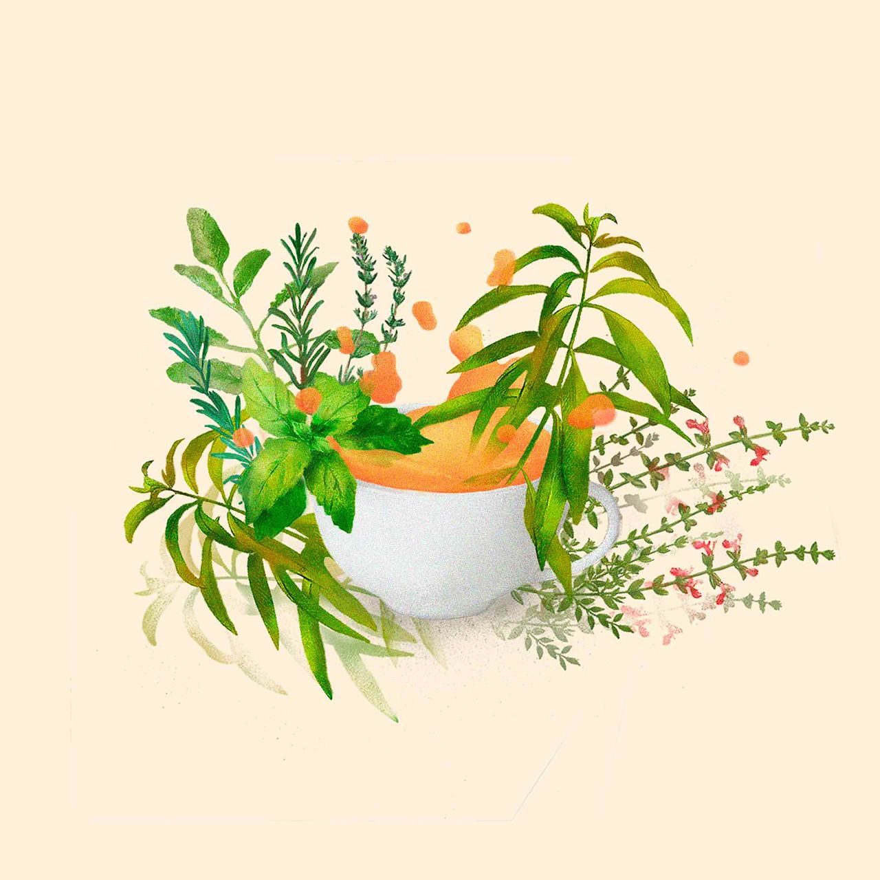 Illustration