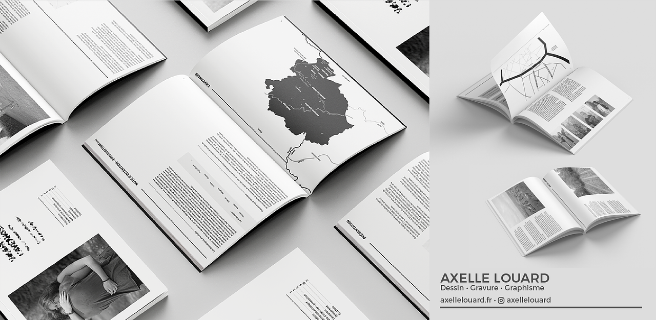 - Présentations d'artiste