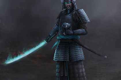 Shogun concept