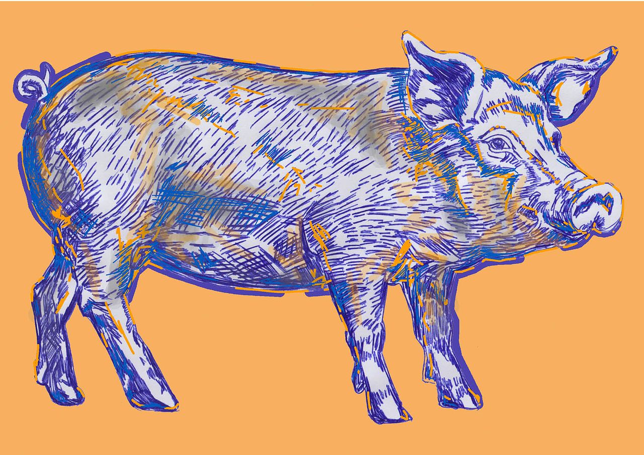 Création personnelle