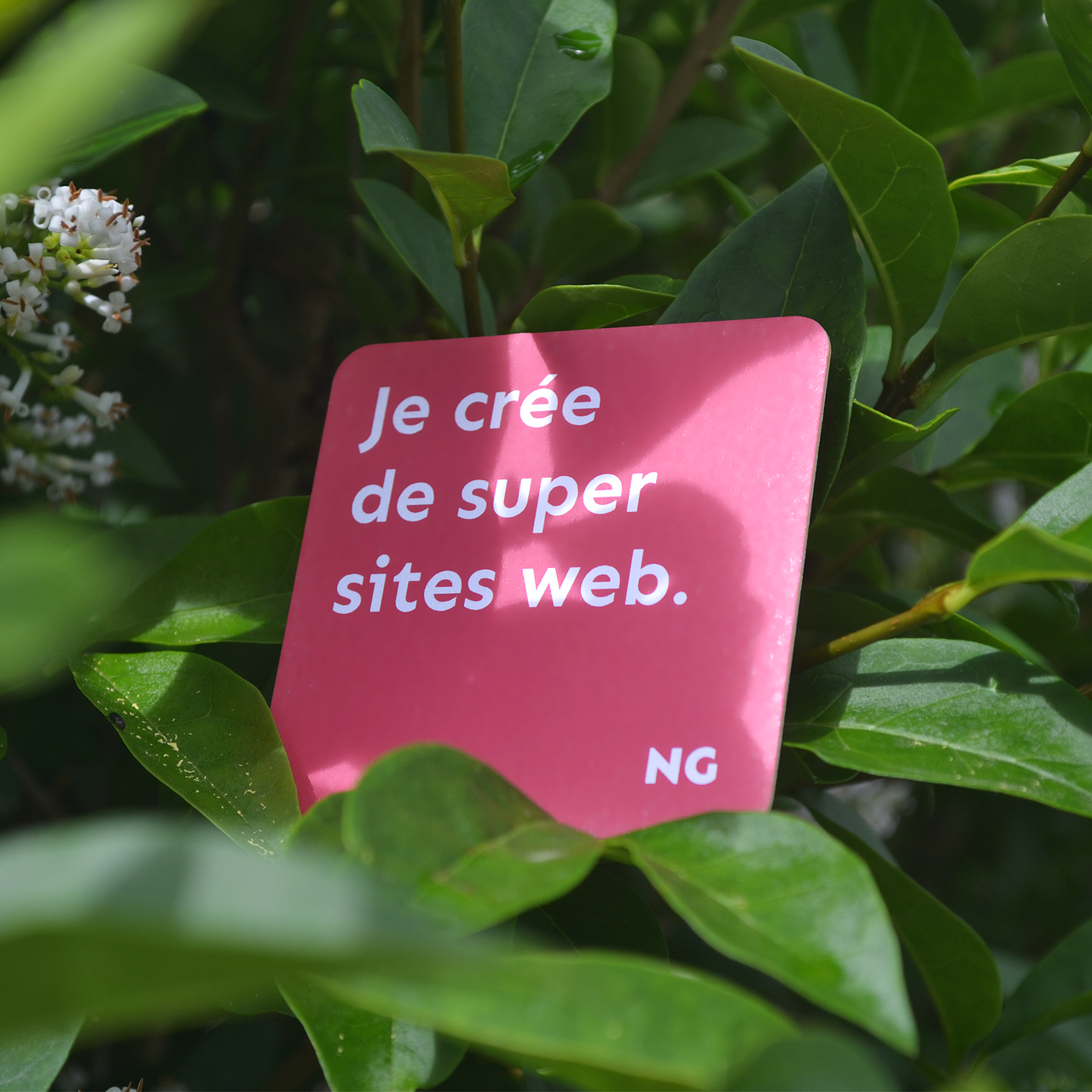 Création de cartes de visites