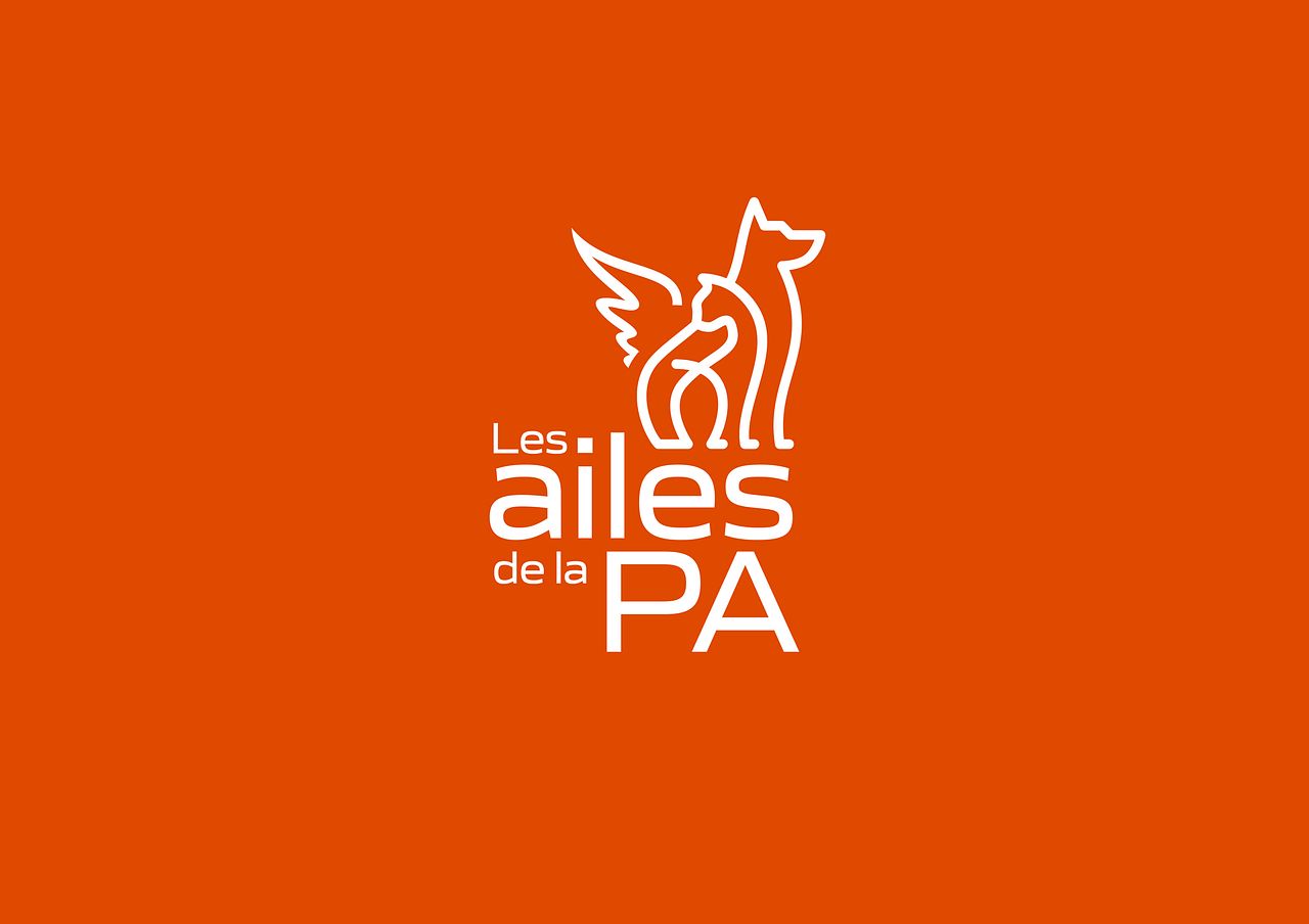 LES AILES DE LA PA