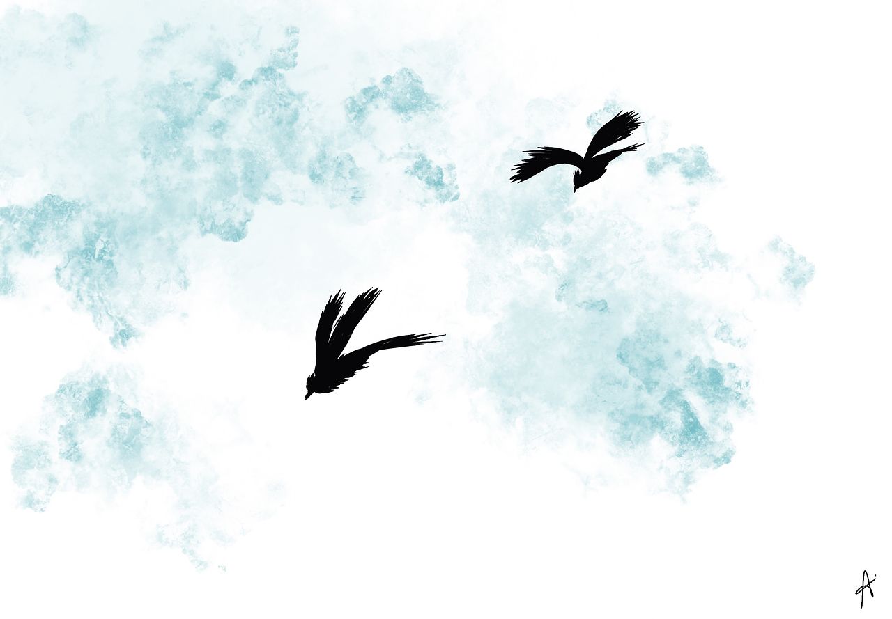 Illustrations minimalistes