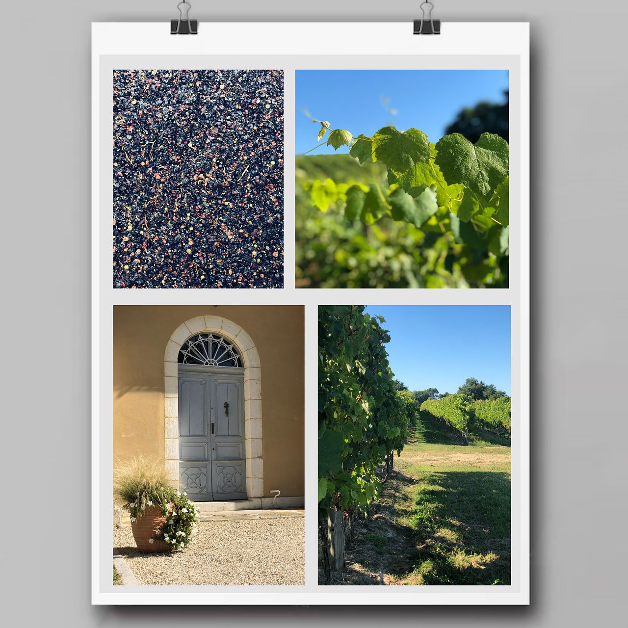 Nature et environnement