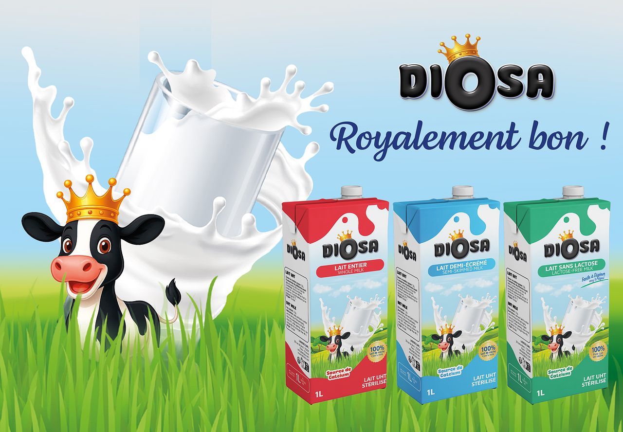 BRIQUE DE LAIT DIOSA