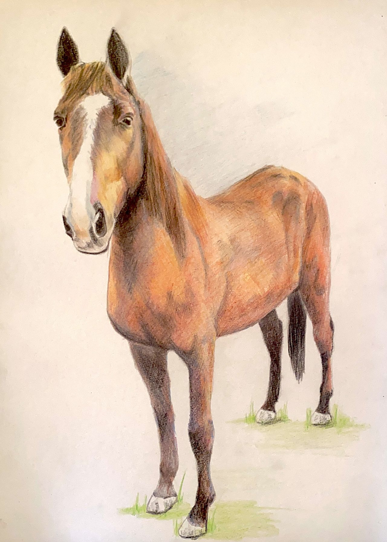 Dessin