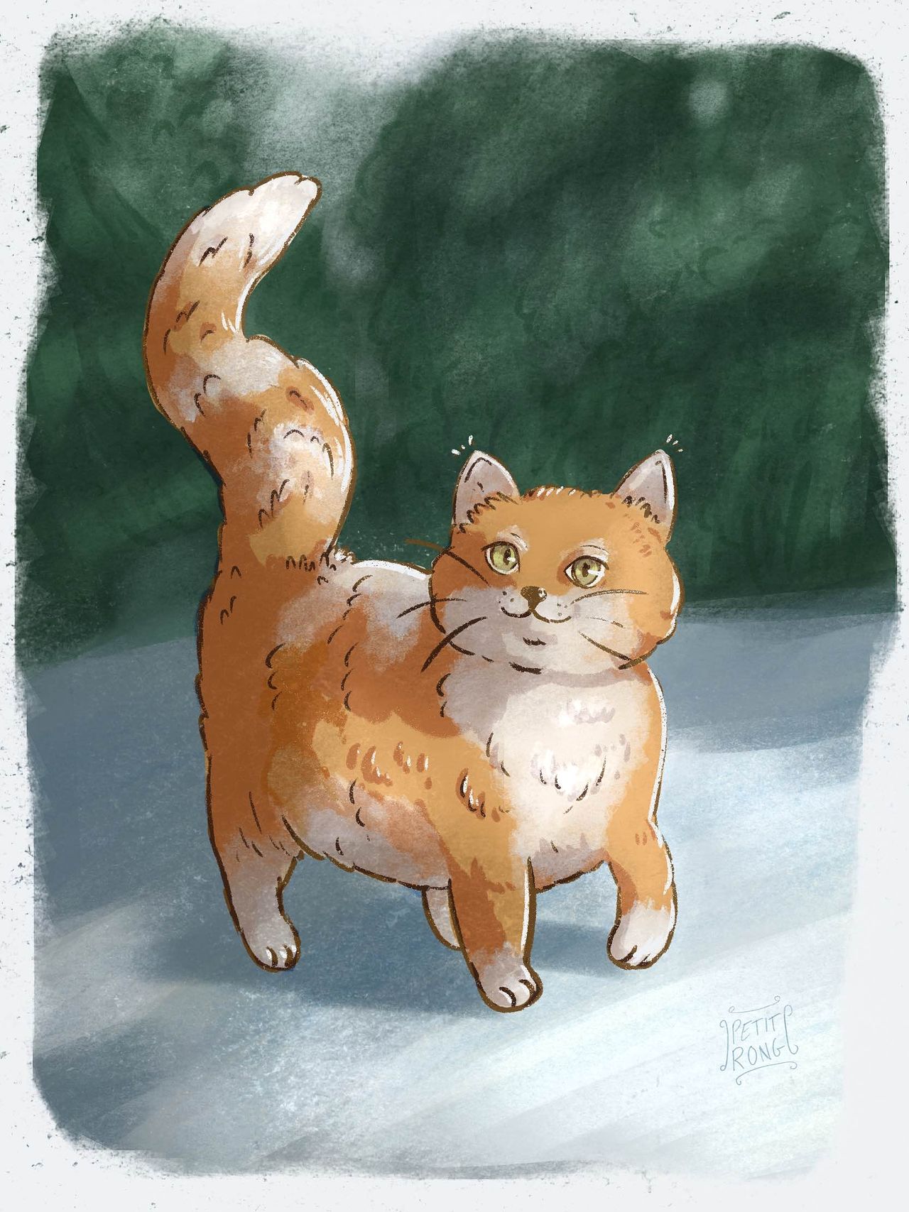 Chat roux• illustration