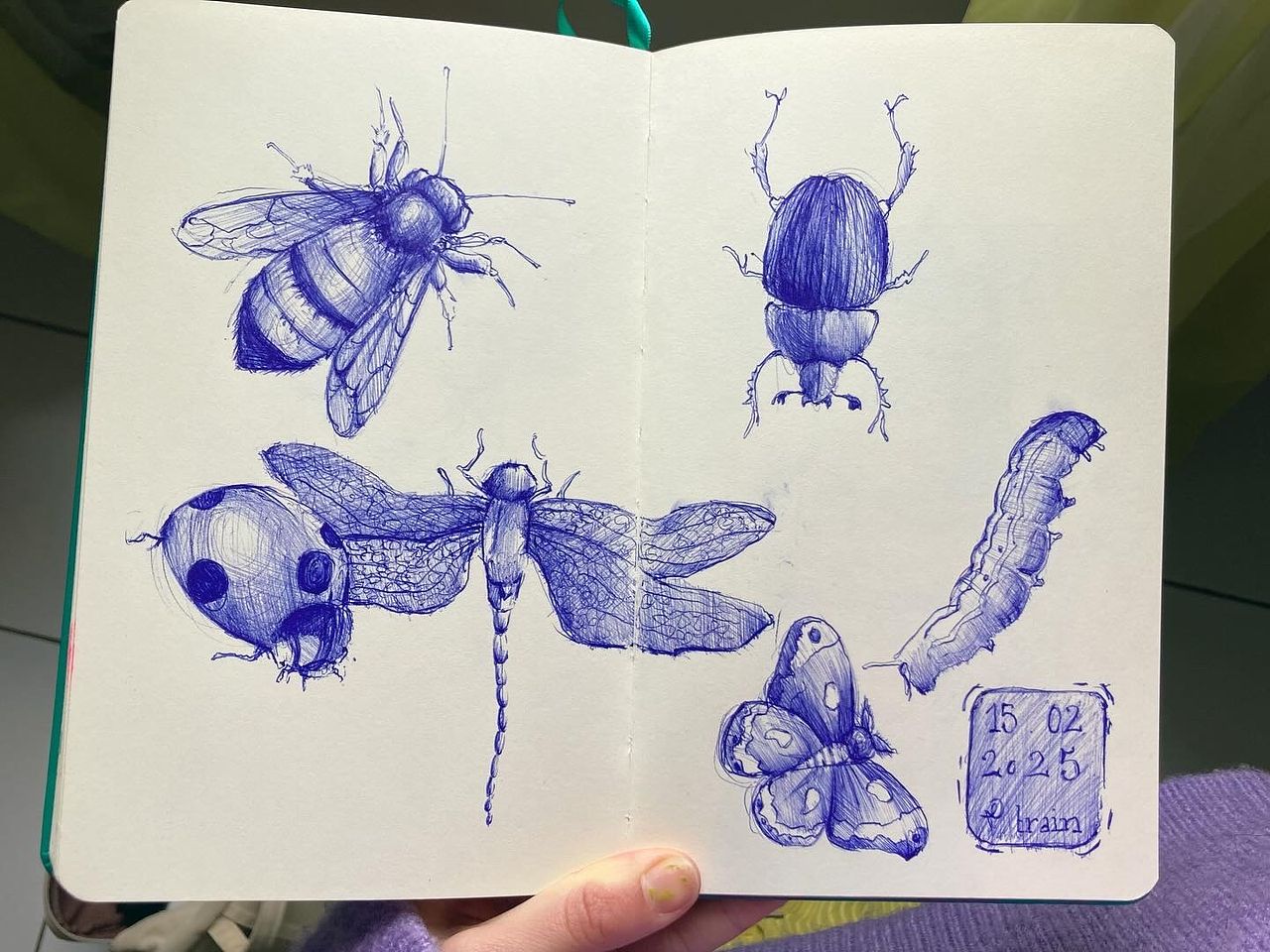 Insectes au Bic