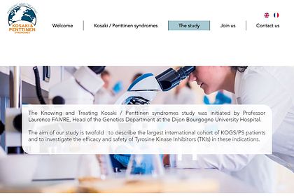 Site web