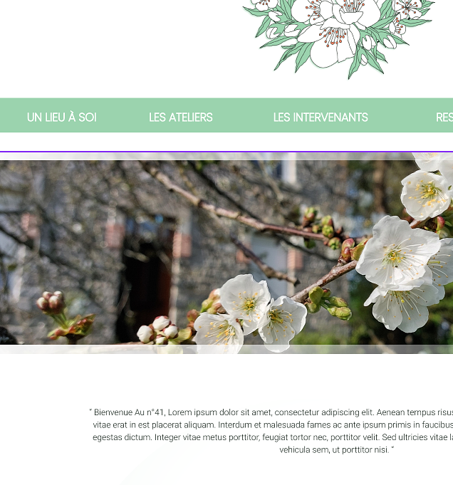 Conception graphique - Site web