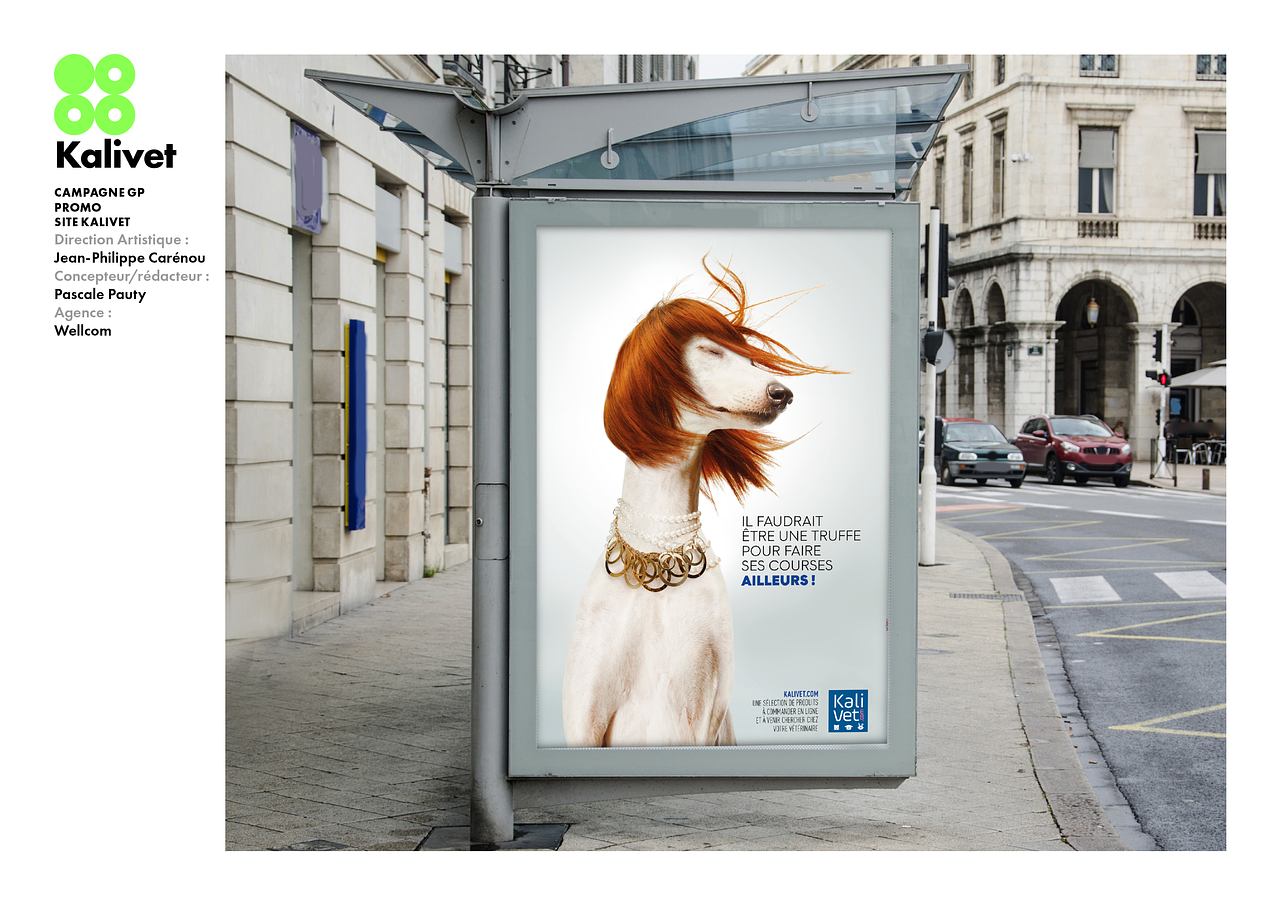 Direction Artistique campagne KALIVET