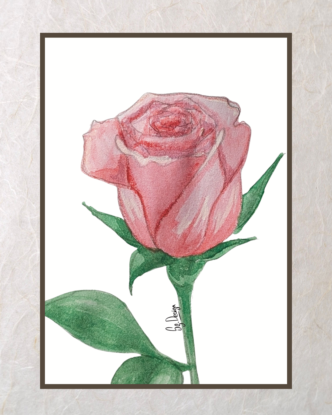 Rosae