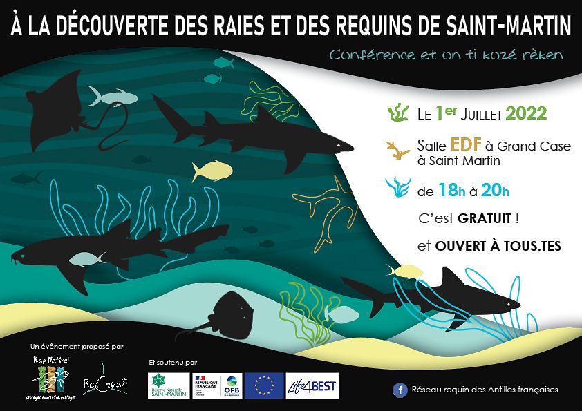 Réseaux sociaux - Conférence requin